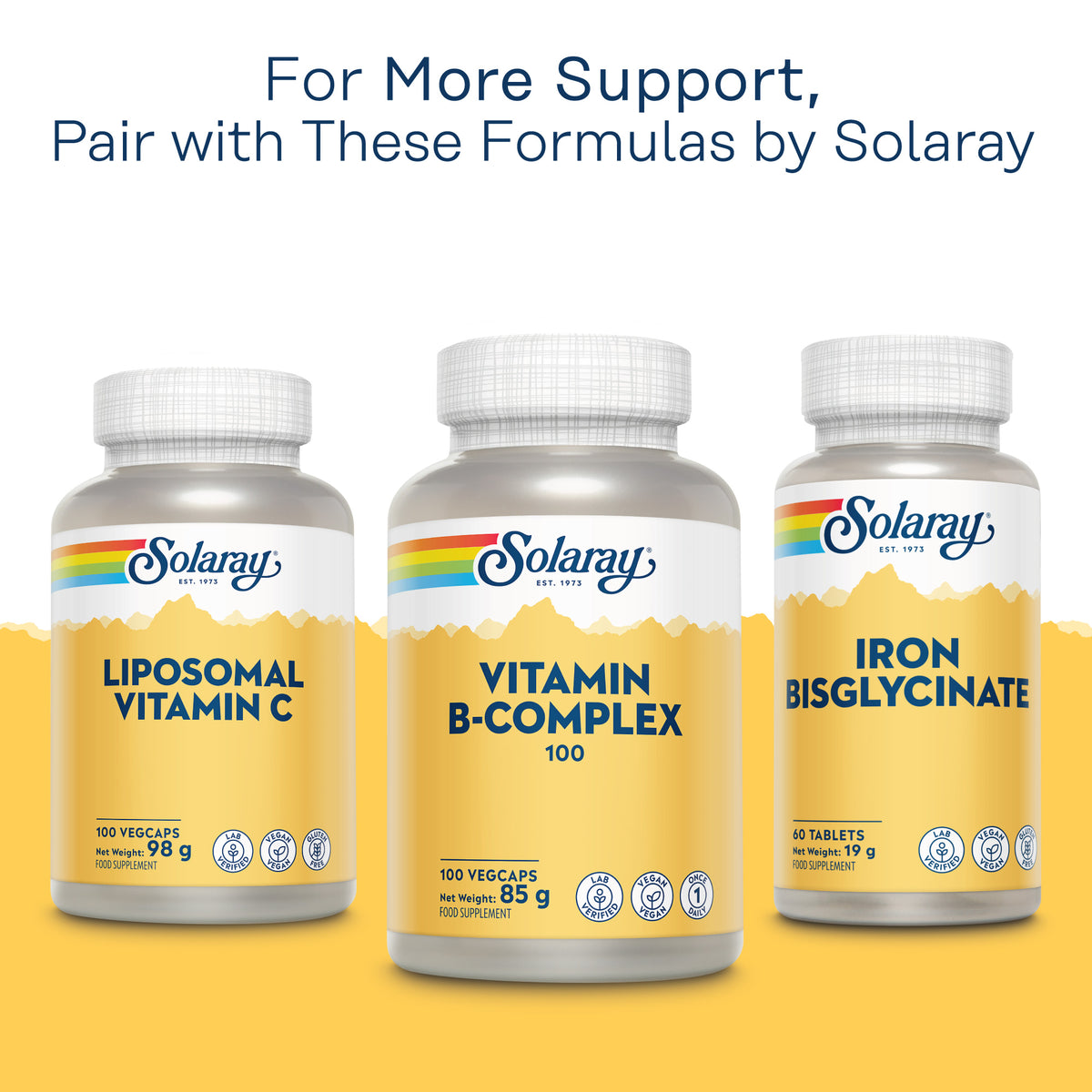Vitamin B Complex 100