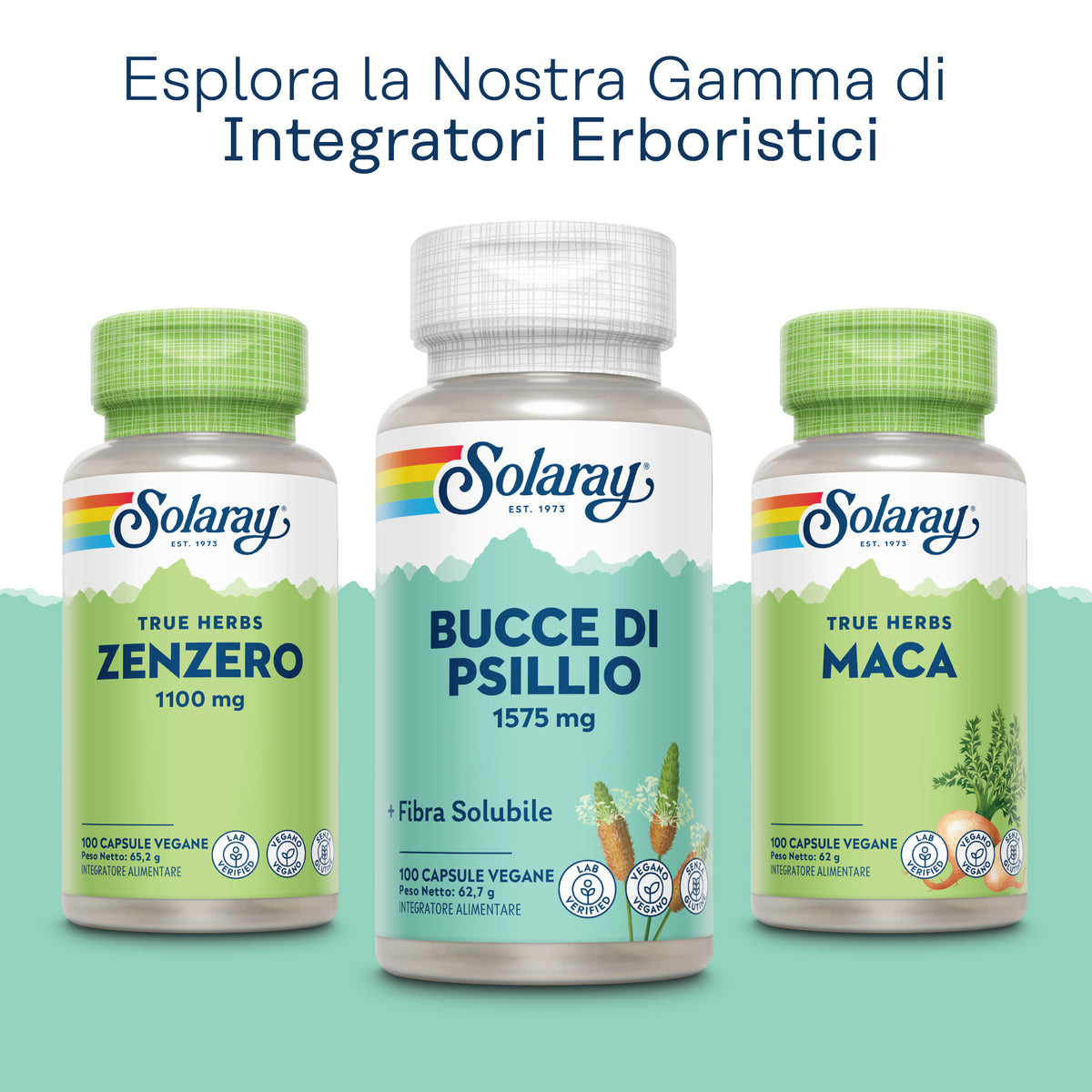 Buccia di Psillio
