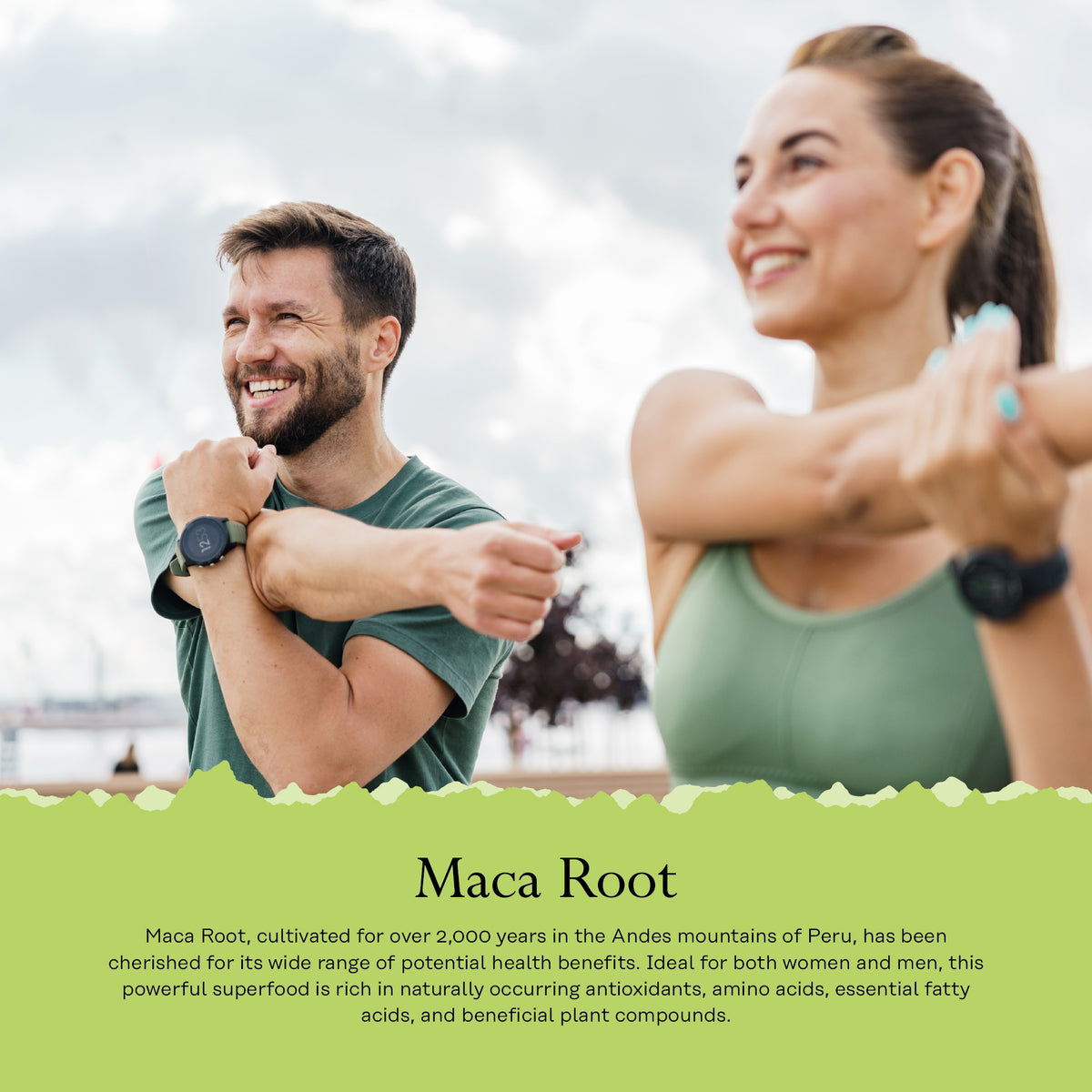 Smiling man & woman stretching outdoors, with text below about benefits of Solaray Maca Root supplements.