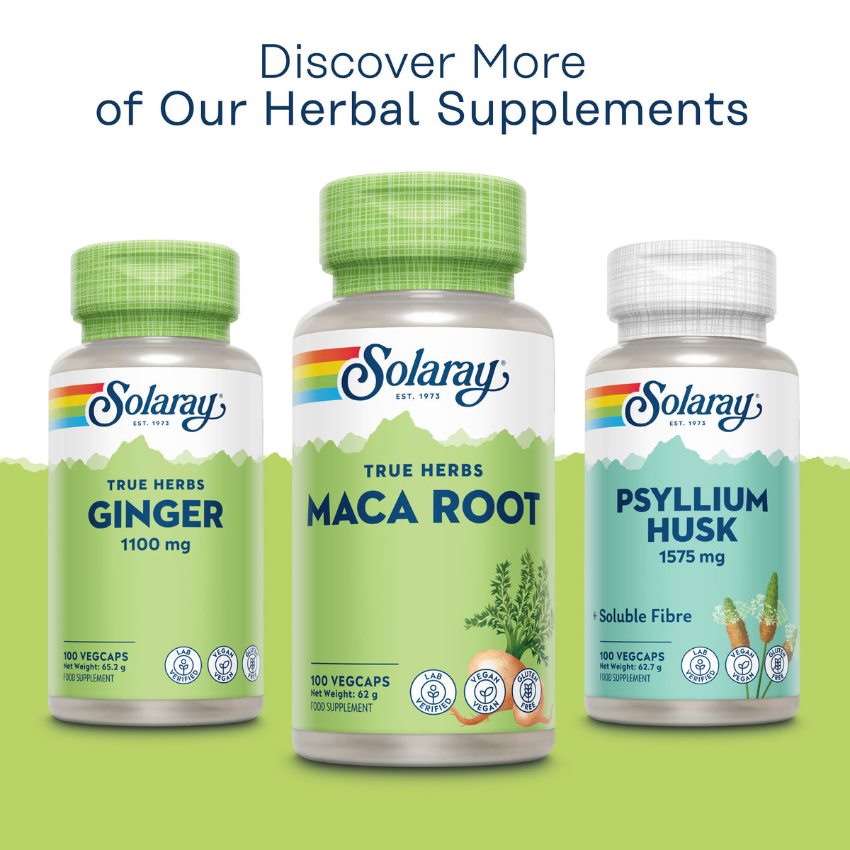 Three Solaray herbal bottles—Ginger, vegan Maca Root, and Psyllium Husk—displayed on a light green background.
