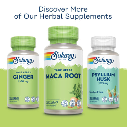 Three Solaray herbal bottles—Ginger, vegan Maca Root, and Psyllium Husk—displayed on a light green background.