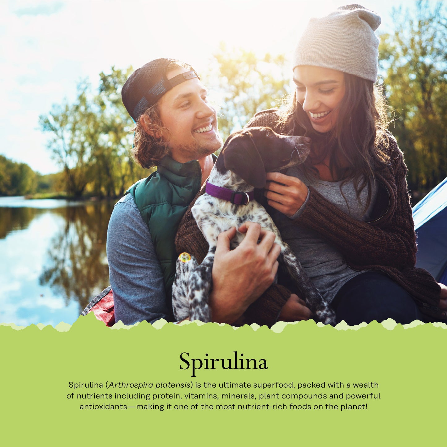 Alghe spirulina