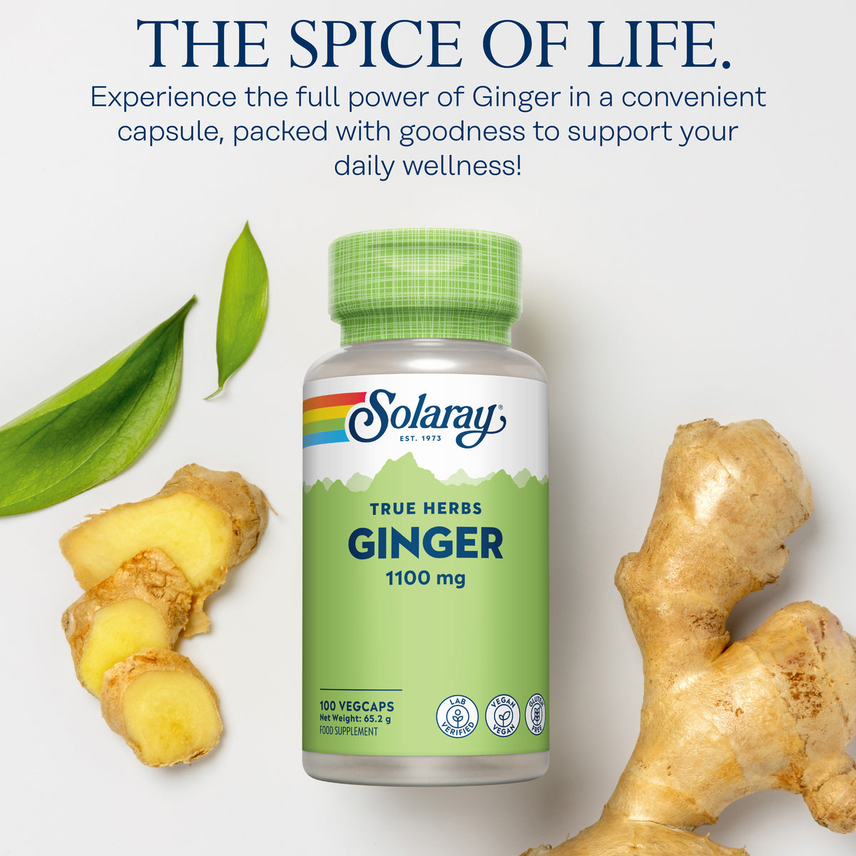 A Solaray Ginger bottle with ginger root slices and leaves displayed on a beige surface.