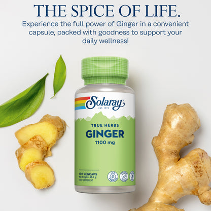 A Solaray Ginger bottle with ginger root slices and leaves displayed on a beige surface.