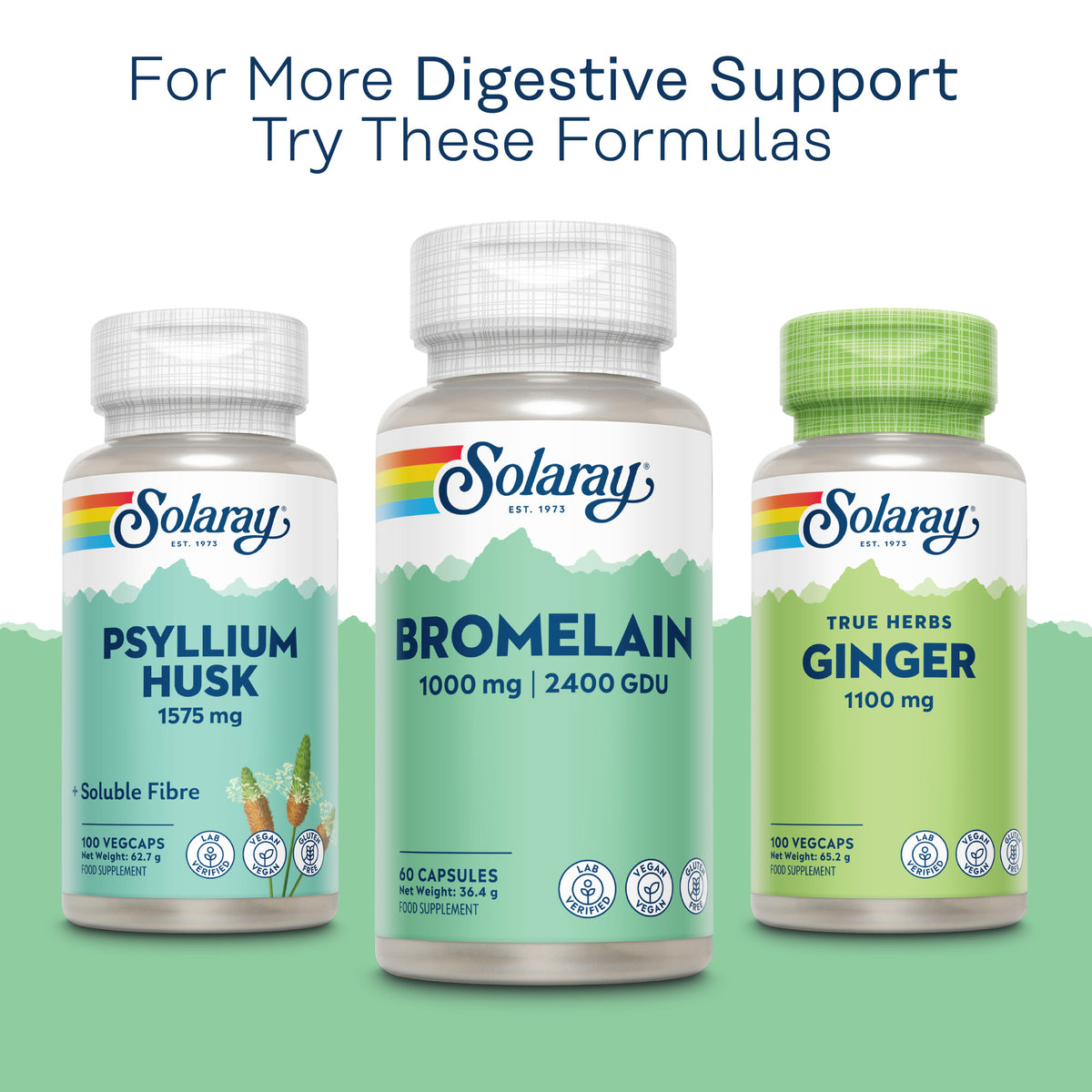 Three Solaray bottles: Psyllium Husk, Bromelain, and True Herbs Ginger capsules for digestive support.