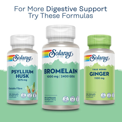 Three Solaray bottles: Psyllium Husk, Bromelain, and True Herbs Ginger capsules for digestive support.