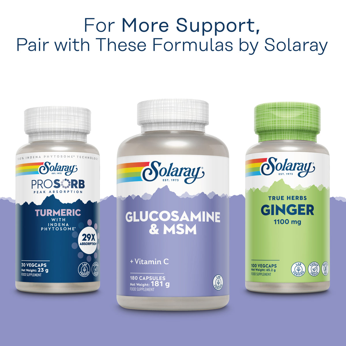 Glucosamine & MSM