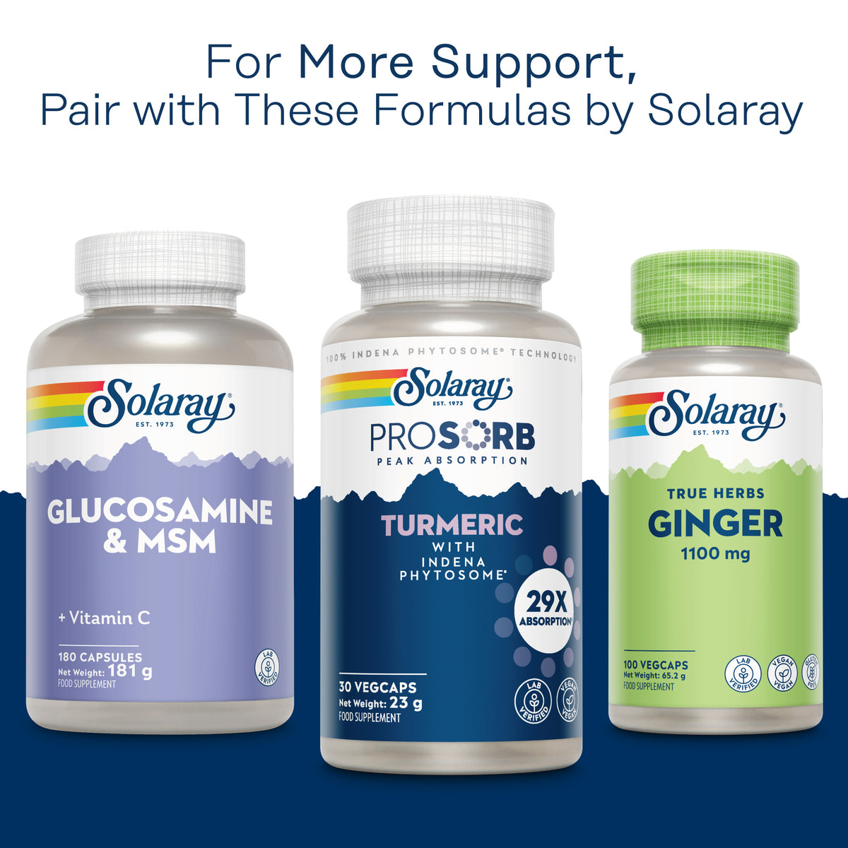 Turmeric Prosorb