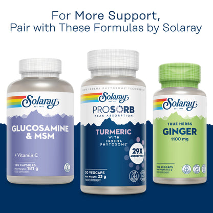 Turmeric Prosorb
