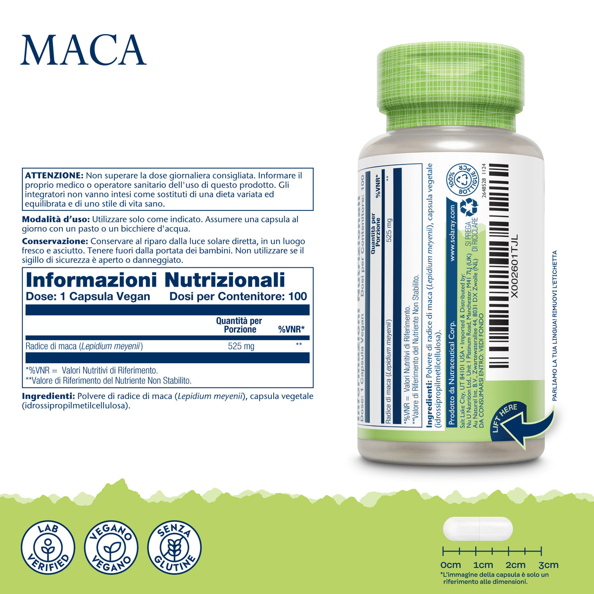 Maca Peruviana