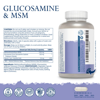 Glucosamine & MSM