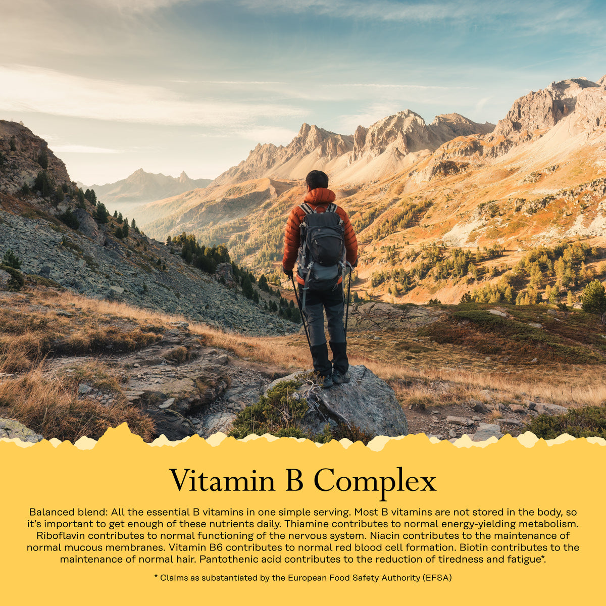 Vitamin B Complex 100